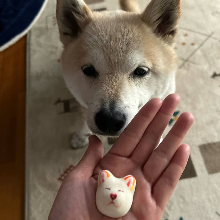 2179de24 5077 4dbe 989e 5d1d9a964b09 1746409845571