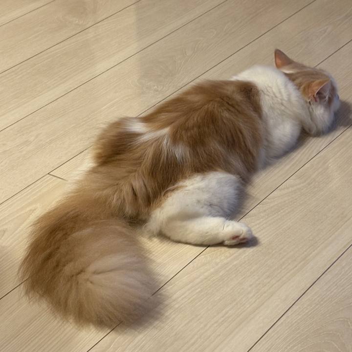 2179f1e8 7ab9 41a7 ae19 928b82d96951 1754394147686