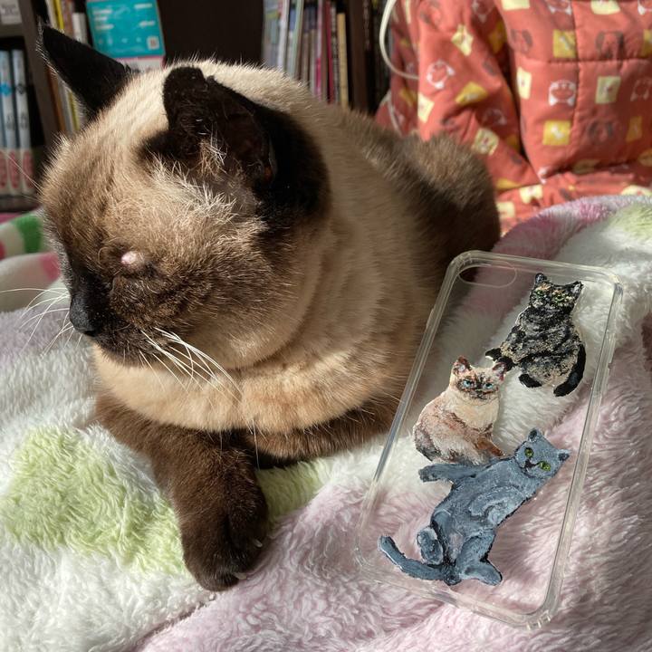 217a0d67 ef36 4242 9d99 2b74364cd584 1610586919770