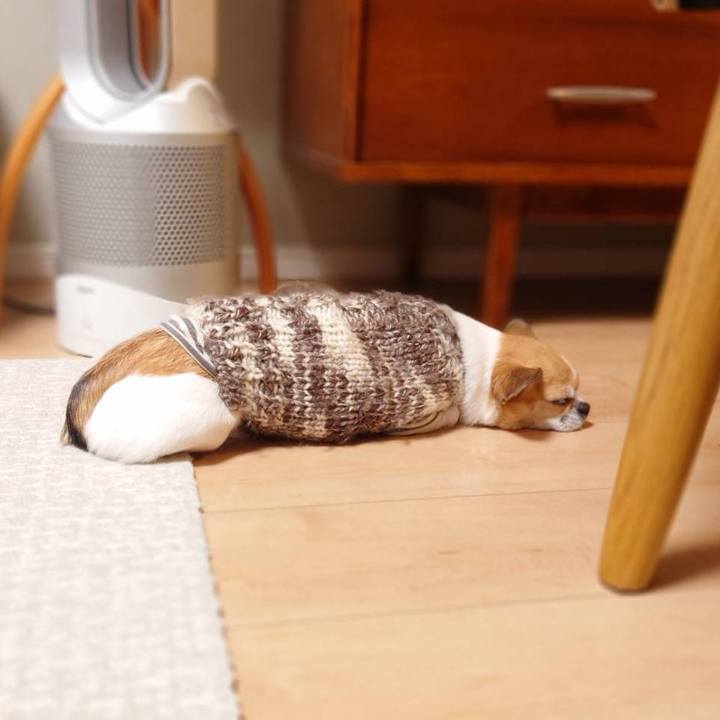 217a1fcf 29c8 46fa b98d b66f8cc6e636 1706350486730