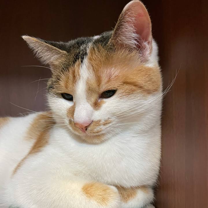 217a4119 ec55 44b2 9d43 bf9b9b300465 1605953283260