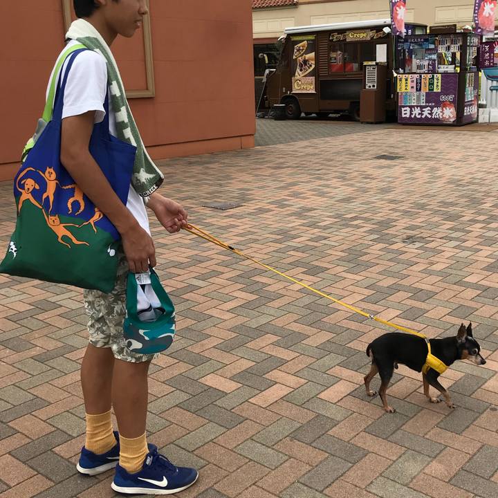 217a6cfa 3469 4b99 8b99 af538597f2af 1540726659599