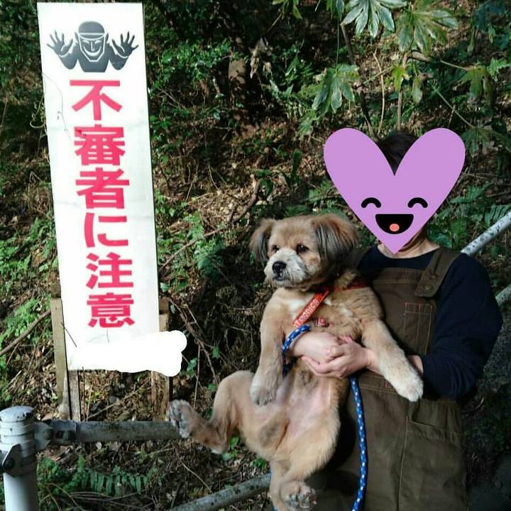 217ab225 35e4 471a 99f0 0f90e2ef92be 1522506843425