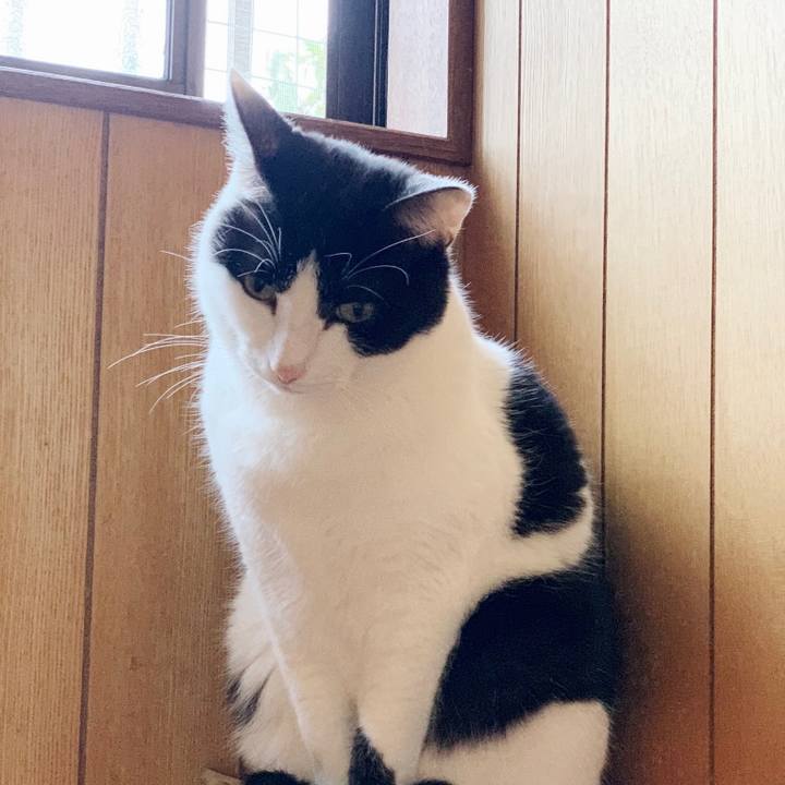 217ab6cb fd02 4cba 9082 657a09a498e0 1551922977389