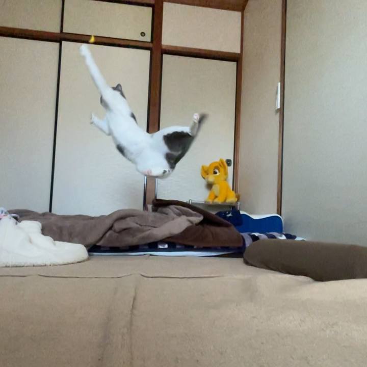 217ac87d 8fb5 4937 962f 1aad0ca0893f 1675407354867