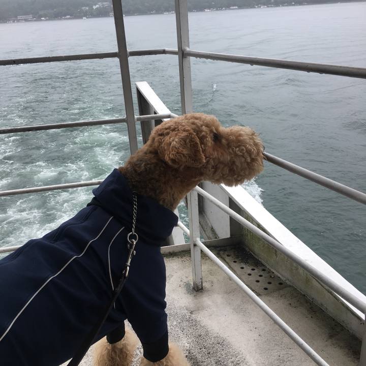 217ad390 bce9 42fe b7d1 56aa38bb0d8e 1563281487277