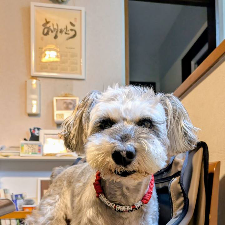 217b46ed 0fdd 44b9 b29a 6d5d94254596 1760530339864