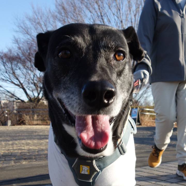 217b6cce 6db5 4e53 9b9e 05cba6042792 1739580356506