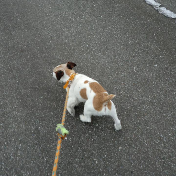 217b9112 7081 492c b790 75818c8316c4 1529069219076