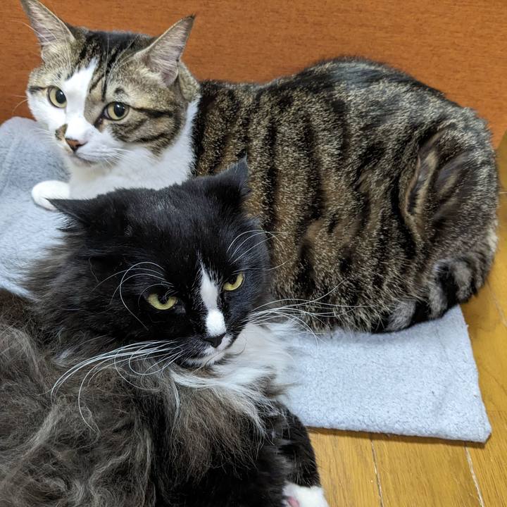 217bc5da 2c20 407d be1d 9cc68f8dab56 1701081803318