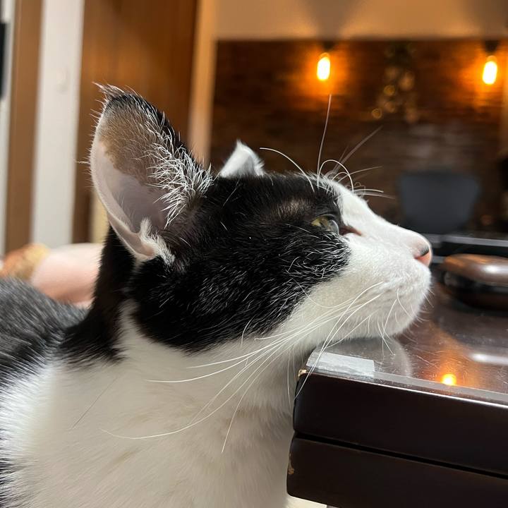 217bd8a1 7e42 49b0 b460 fa931641dbc3 1645017092392