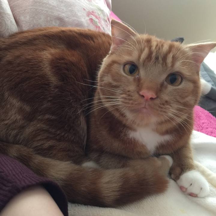 217c13d9 bda2 49a6 931d 3e8326d70498 1520034584859