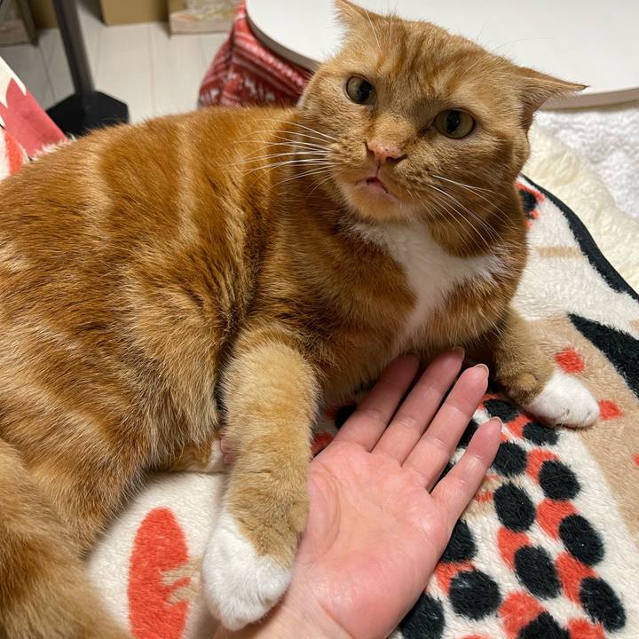 217c213d 4c5b 4a2c 86a9 395d456d567c 1651324115995