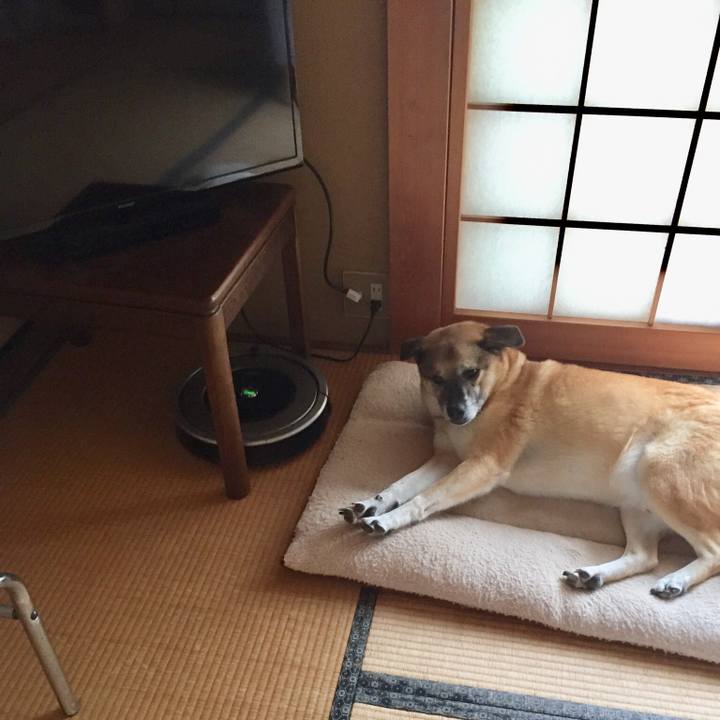 217c9326 25ba 4ae8 8552 3886684d7828 1538299366560