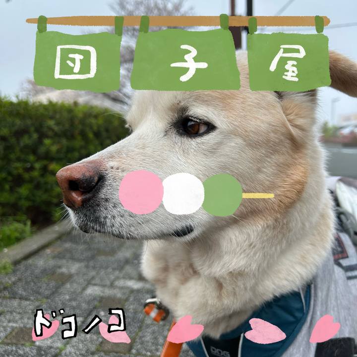 217c98a8 7505 4699 9aad 6deac9185294 1712363527379