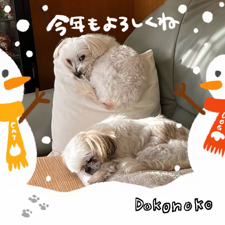 217cc29c c3fd 4fbf be9f 174983221825 1704069587009