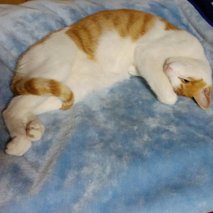 217ccb9a 99bf 47d9 a8fe 688fb66efe79 1525272672573