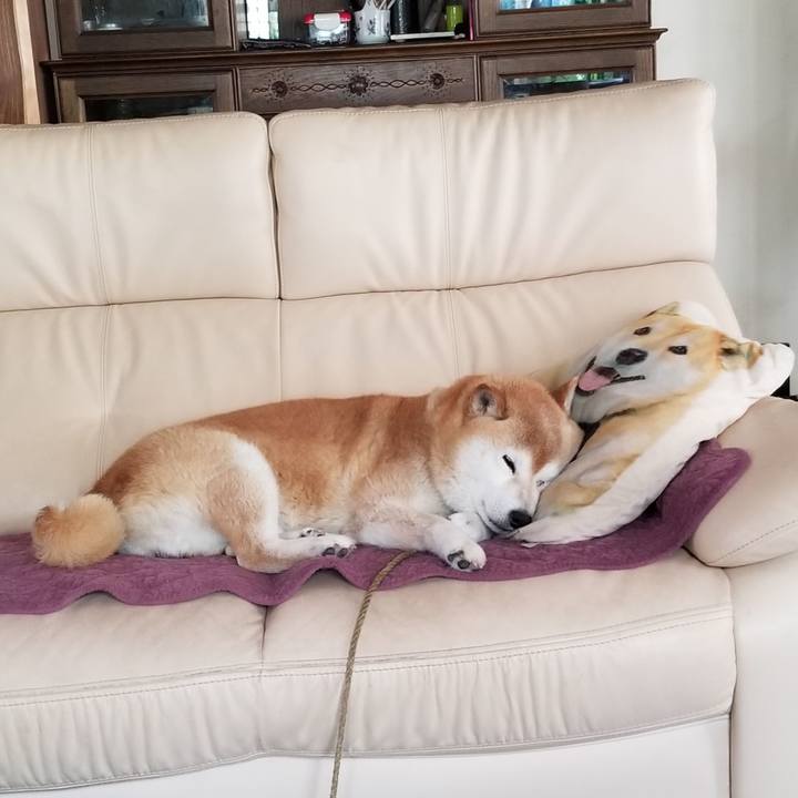 217cd23f 270f 4b74 affb ceaecdbe2c22 1686702769629