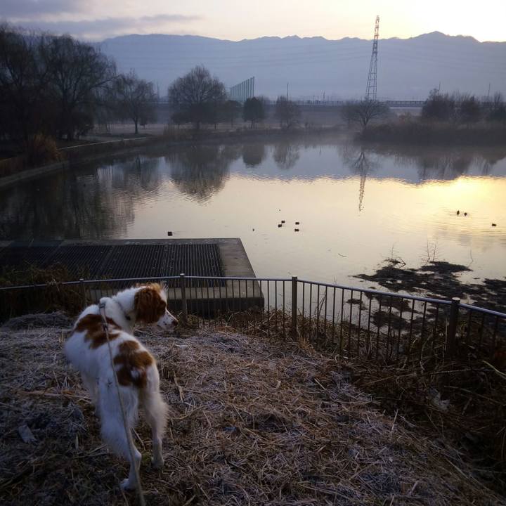 217cf14e 7ce8 4311 a6a7 2a5ef5988c4e 1516062317823