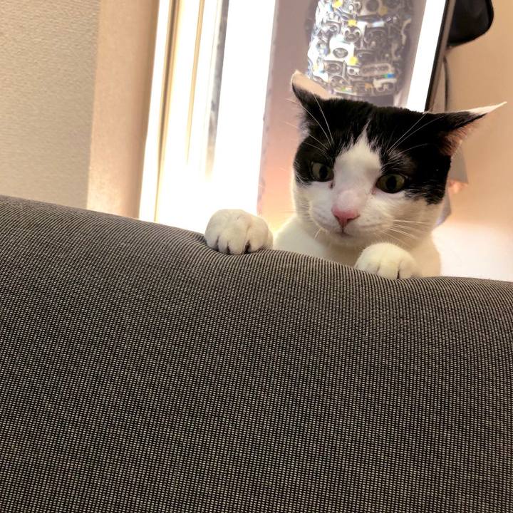 217d0459 ed89 45ae 9f25 59fe493bcf38 1547873313030