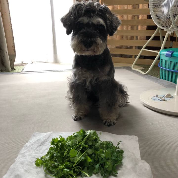 217d3b8e 14e5 441c 945e c92ad85513d4 1570249145350