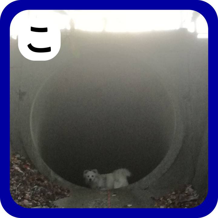 217d6825 c932 4cac 90af acb8eb008cc5 1515116503357