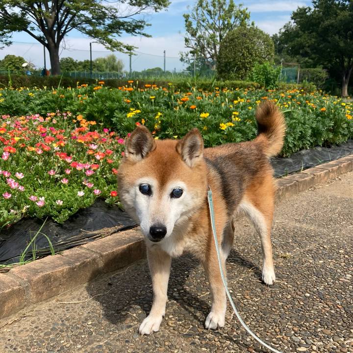 217d92f1 4ce5 4ae2 bd9f fd5315910261 1753575714352