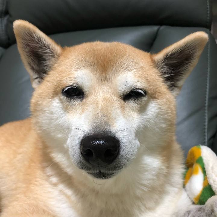 217db5be 278e 452d ab6e 5037908a687e 1575535208186