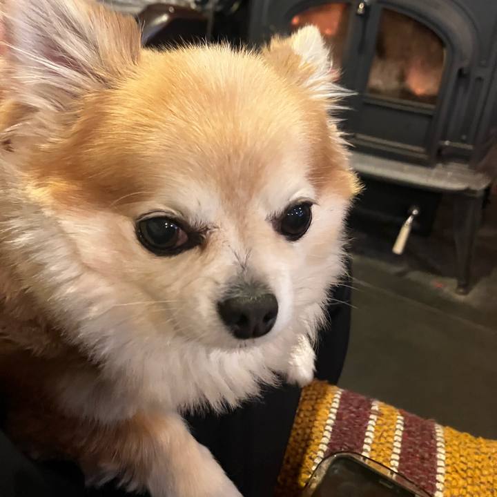 217dbfeb 28cd 4428 b975 c59902c04b1e 1767225543942