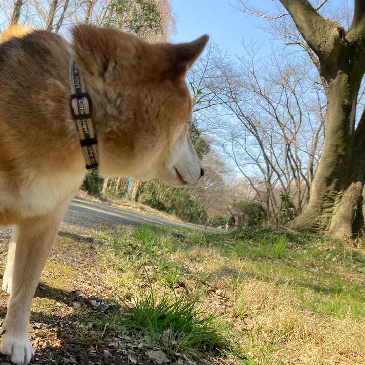 217df6f7 1bd9 4cb3 abea 574c3f533683 1646456577335