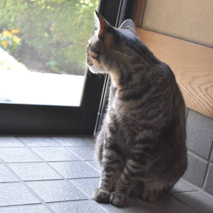 217e21a3 6e48 4f41 9b51 79a423a7a472 1529046863628