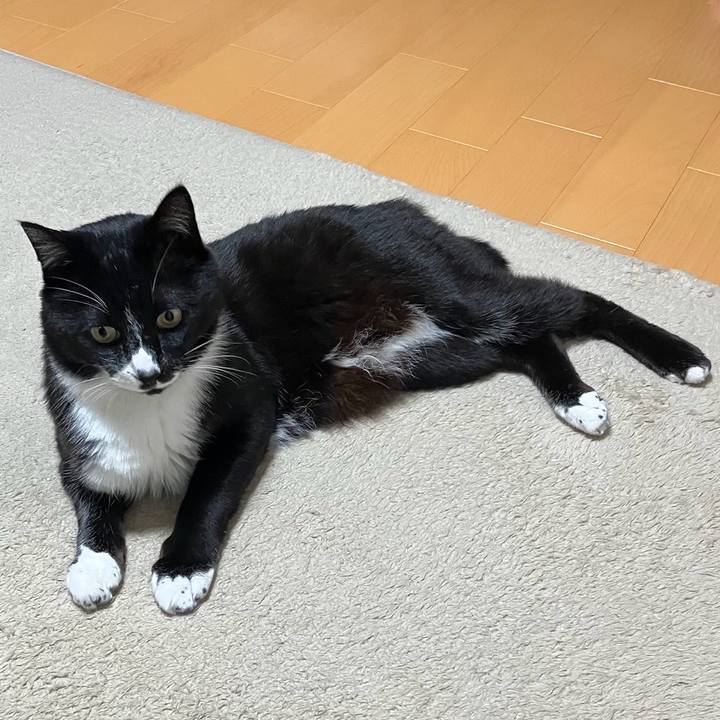 217e250b 1ba4 468e bcea feade3bf1be6 1752208036416