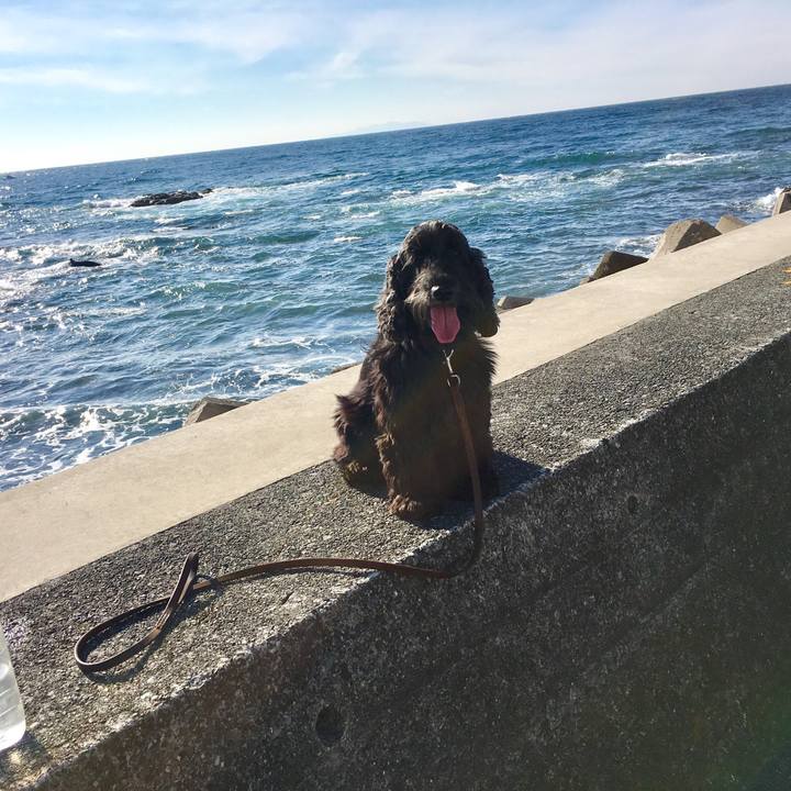 217e2f83 86fb 41ab 90a2 acf7c0a7ff2c 1512476960207