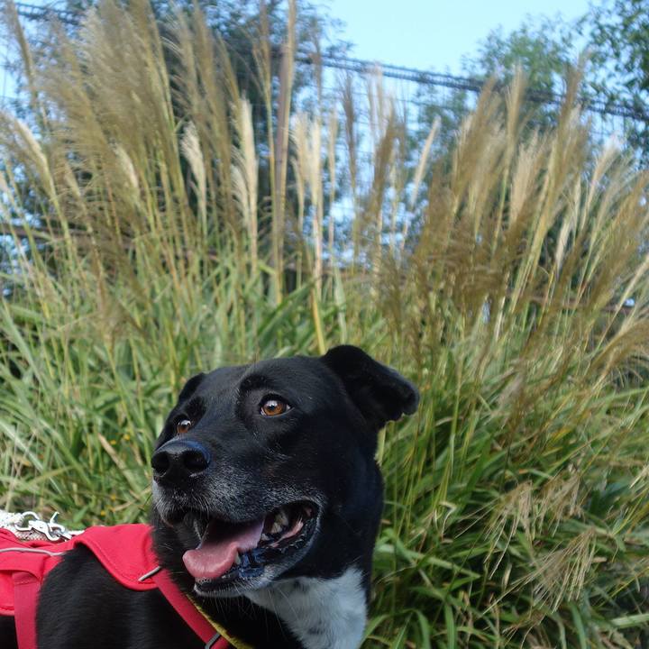 217e4421 df26 4834 8377 5096c9f8274c 1666920102599