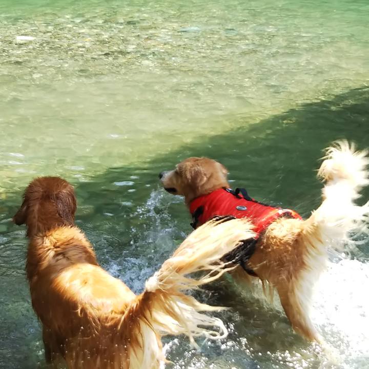 217e459b f898 4a39 84c1 cb6be1678a3e 1535183860760