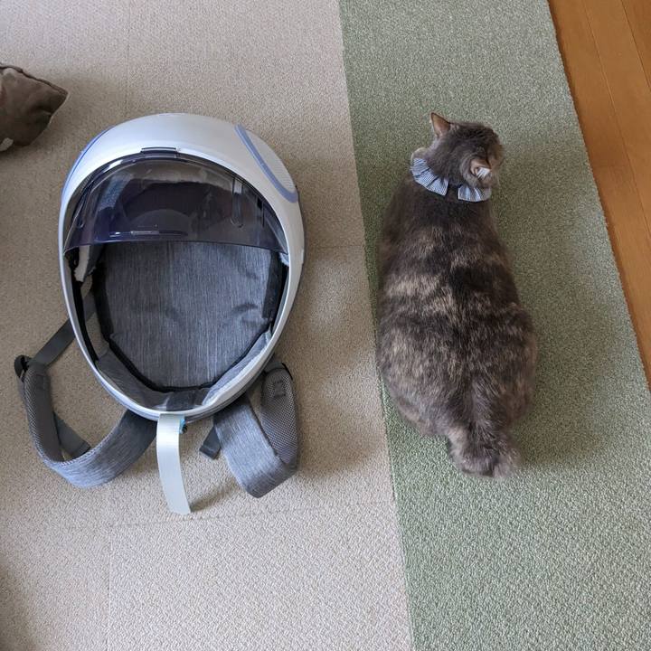 217e879f 4e9a 4f95 aec8 12cdad68a94c 1679987271861