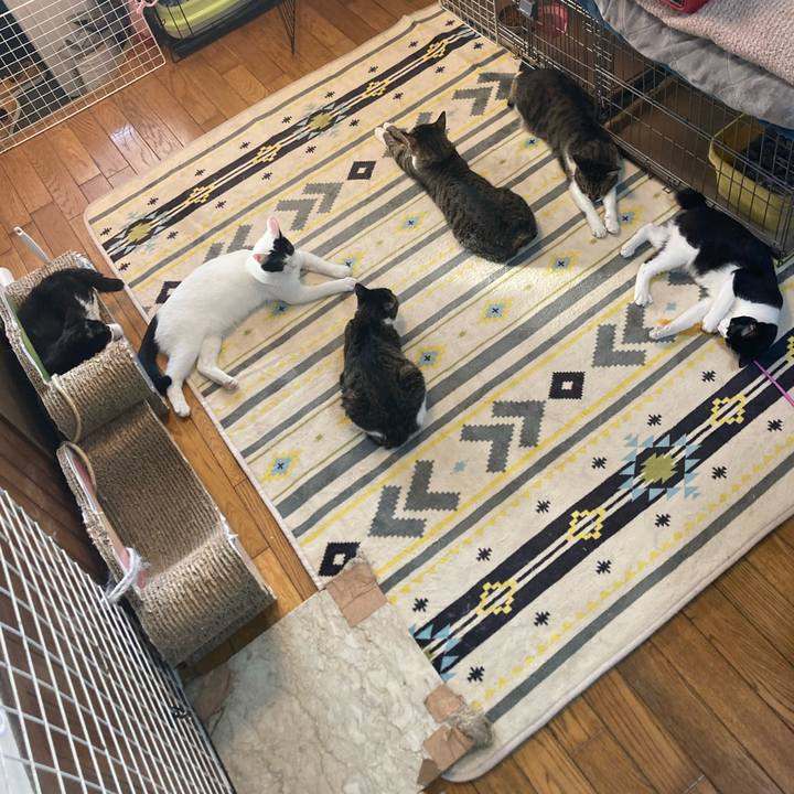 217ea59c 06cc 43bb 8681 97c7c5b07221 1737726960211