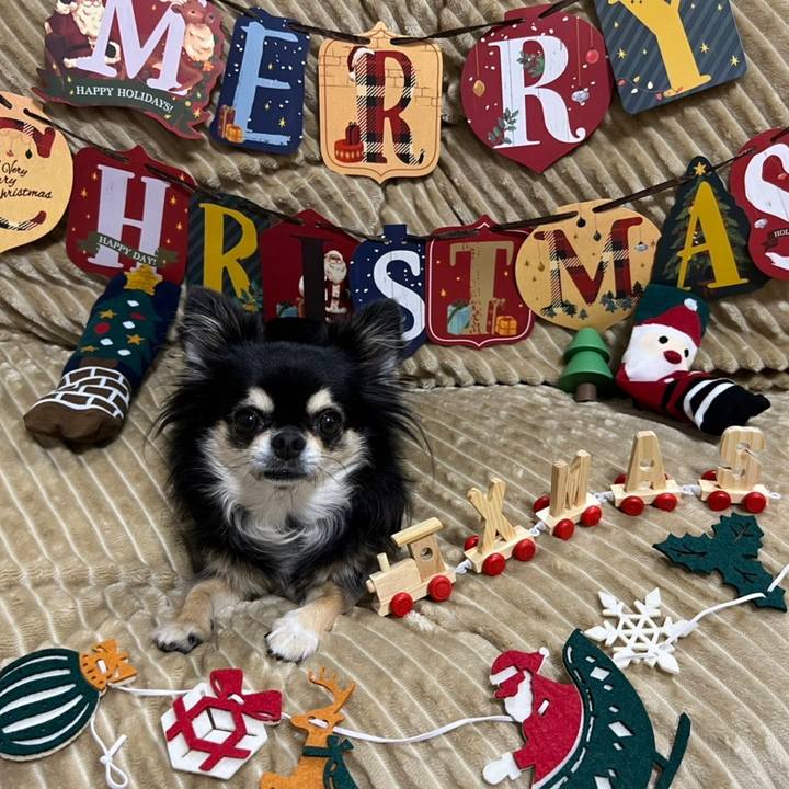 217eb6b9 a29a 4ed1 9a3c 4d82cbbdc77d 1671840502363