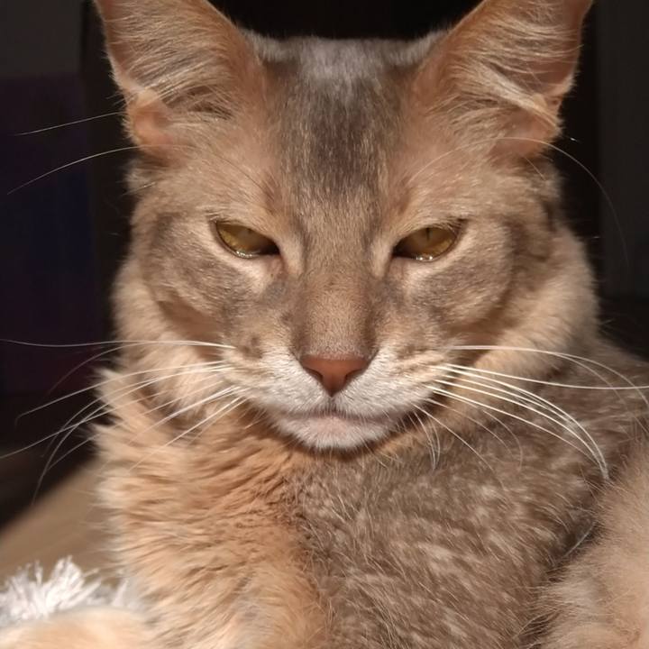 217ec95e b0c4 43fd 985a 6af39e304445 1611975608434