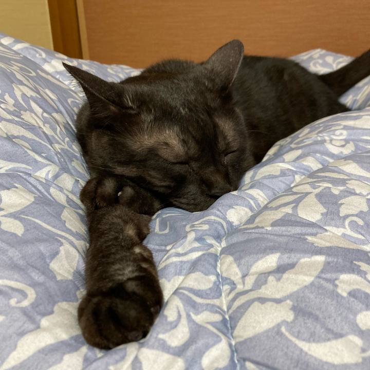 217ee00d 19f9 420e a9b6 8a68d4af11a9 1719510651412