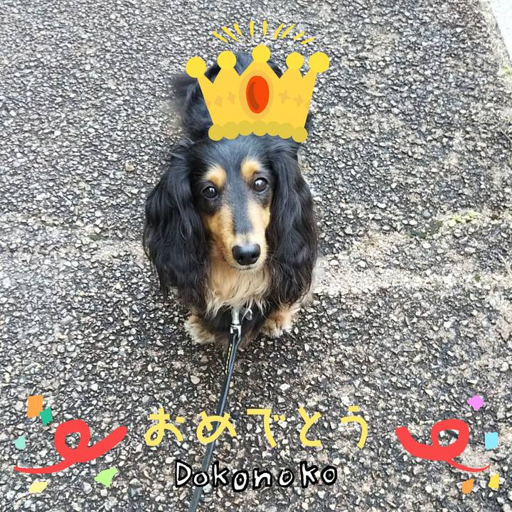 217ef296 66e5 4f06 adda f75721a336d0 1685958768510