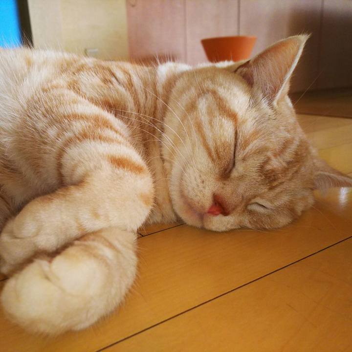 217f544b 66d9 4a1f a38d 168972c6c70e 1512699494273