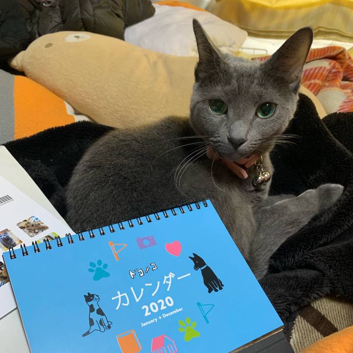 217f799a 02db 4ee1 a0a8 926cc634b098 1575074189696