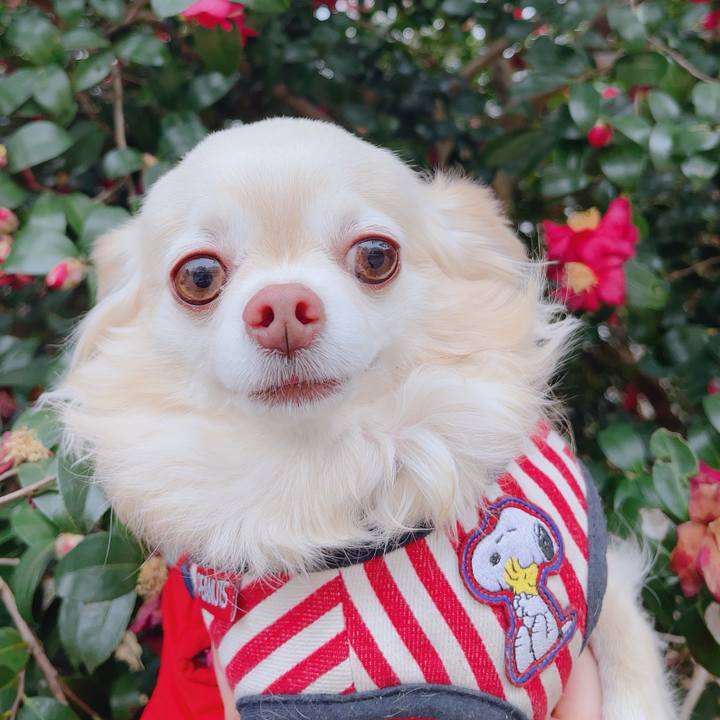 217f801e bf66 4660 b056 c641d3550a14 1770592948539