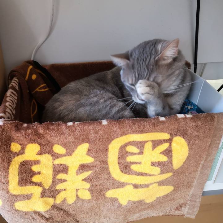 217fb8f5 dfda 458f bcc4 2bed953c365a 1588926271924