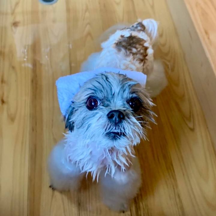 217fbe7d 13f6 4e90 8073 9712c29615e9 1636341209937