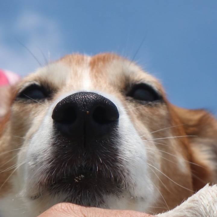 217fd18d 7876 49d9 a618 a831f7a6148c 1528811674818