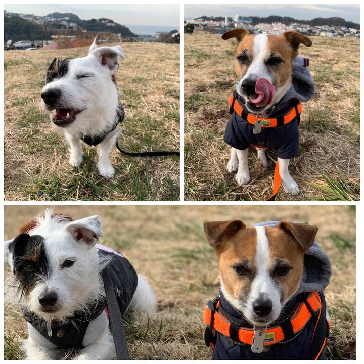 21800ea6 446a 409d 9572 8b77f9fb6ca6 1547515984415