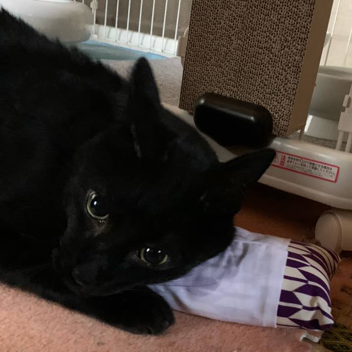 218049a3 0132 491b a838 ba7b09f39c7e 1579397623416