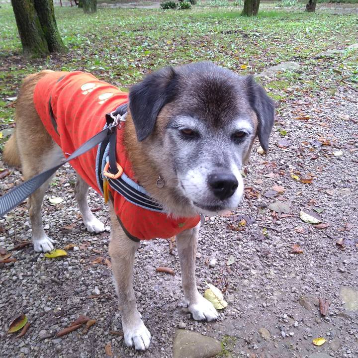 21804a44 f932 4ab2 957c 8381068e40a7 1571096647345